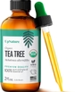 Organic Tea Tree